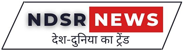NDSR News